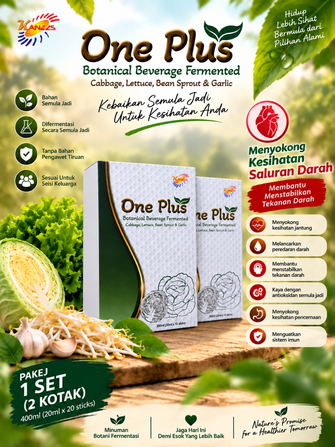 1 Set One Plus