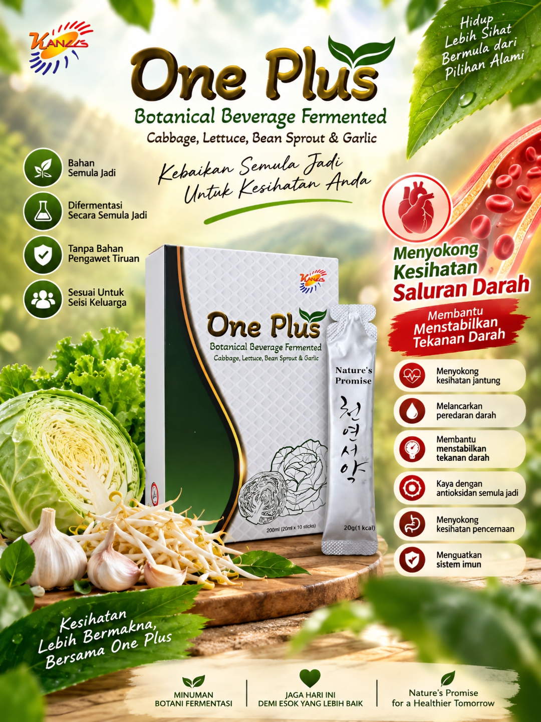 One Plus Botanical Beverage Fermented